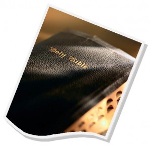 Bible_light2