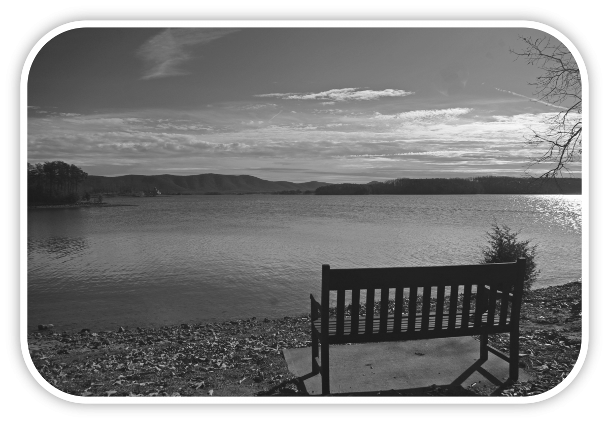 What is the Meaning of Life_empty bench