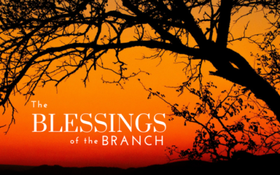 The Blessings of the Branch