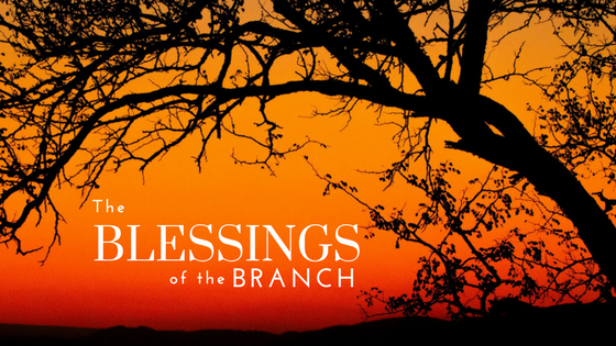 The Blessings of the Branch